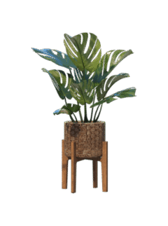 shop-lifestyle-bg-05
